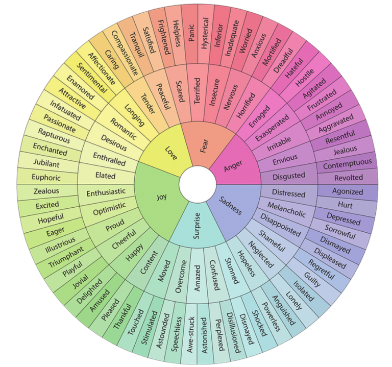 Understanding The Feelings Wheel - YouthSMART